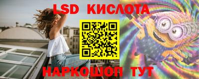 стафф Краснознаменск